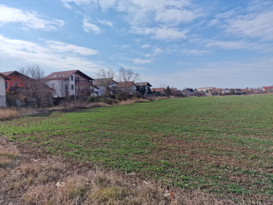 Oportunitate Saftica - Balotesti - Green Land Residence – Lot 653 mp