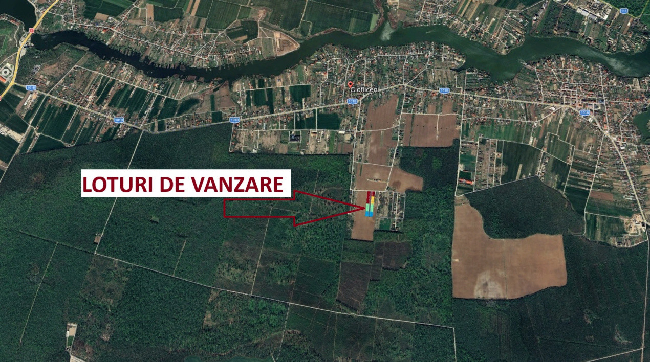 The Forest Collection - 568 mp | Padurea Snagov - Ciofliceni - COMISION 0%
