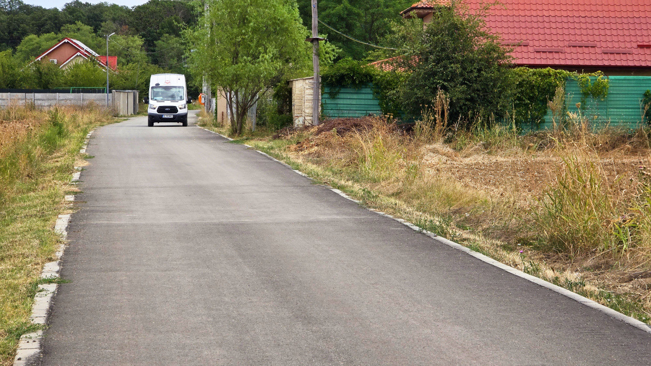 The Forest Collection - 568 mp | Padurea Snagov - Ciofliceni - COMISION 0%