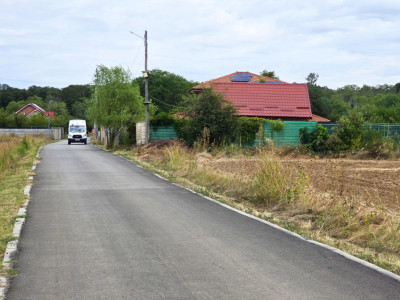 The Forest Collection -500mp-Zona exclusivista | Padurea Snagov -Ciofliceni 