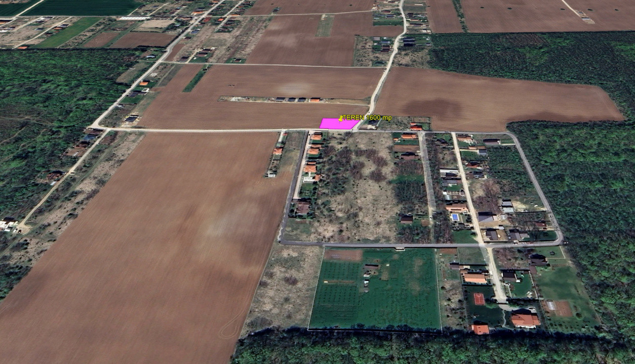 The Forest Collection 2 - 1600 mp | Padurea Snagov - Ciofliceni - COMISION 0%