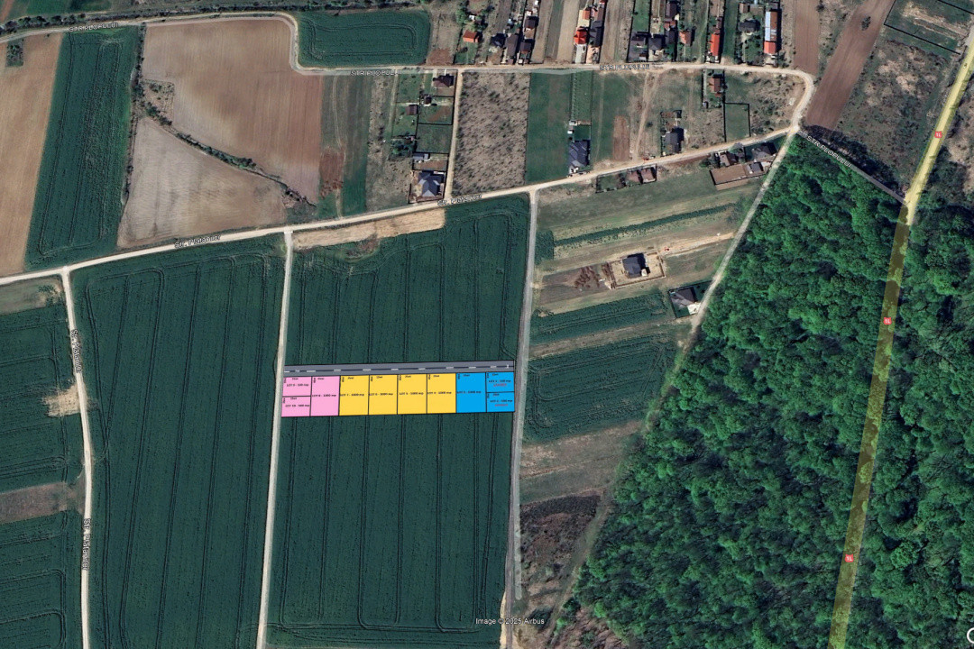 Loturi de teren la padure | 500-1000mp | Izvorani- Snagov