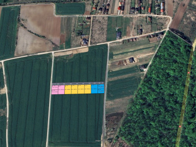 Loturi de teren la padure | 1000mp | Izvorani- Snagov