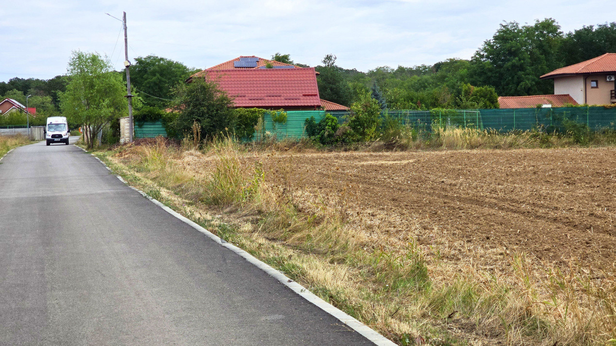 The Forest Collection -LOT 500mp- Strada asfaltata | Padurea Snagov -Ciofliceni 