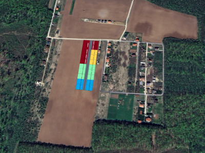 The Forest Collection -LOT 500mp- Strada asfaltata | Padurea Snagov -Ciofliceni 