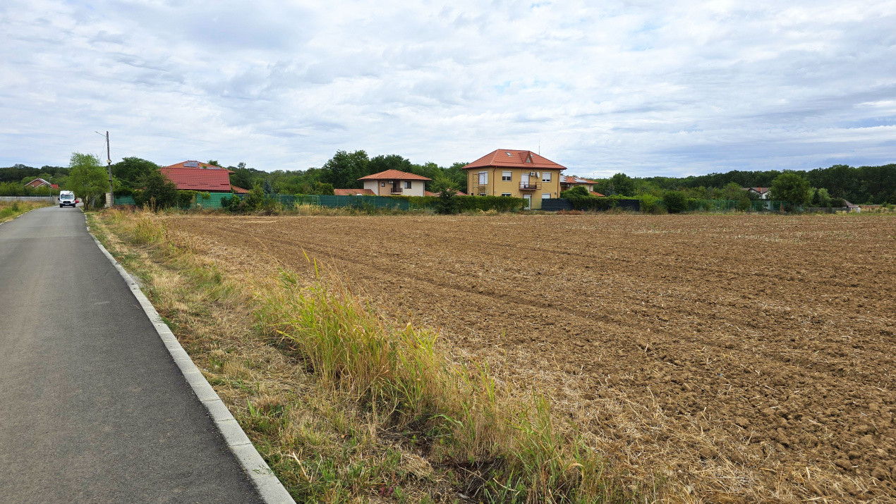 The Forest Collection - lot 500 mp | Padurea Snagov - Ciofliceni - COMISION 0%