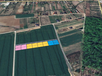 Loturi de teren la padure | 500-1000mp | Padurea Snagov - Izvorani-