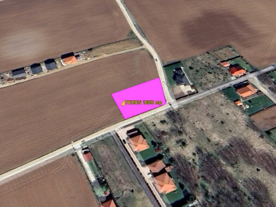Teren intravilan  1600 mp | ocazie rara | Padure - Ciofliceni -Snagov Comision0%