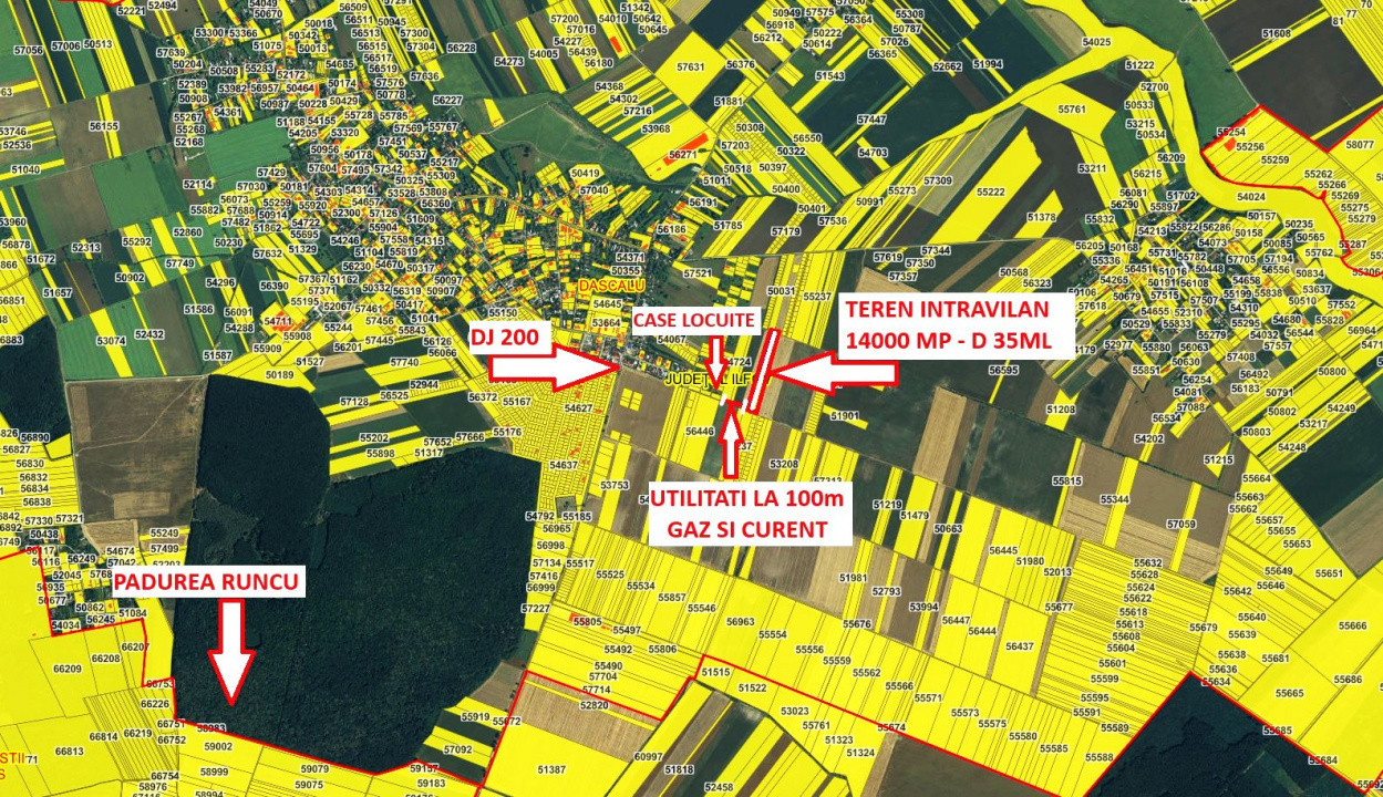 TEREN 14000 MP | IN DASCALU - LANGA BUCURESTI | IDEAL INVESTITIE | COMISION 0%