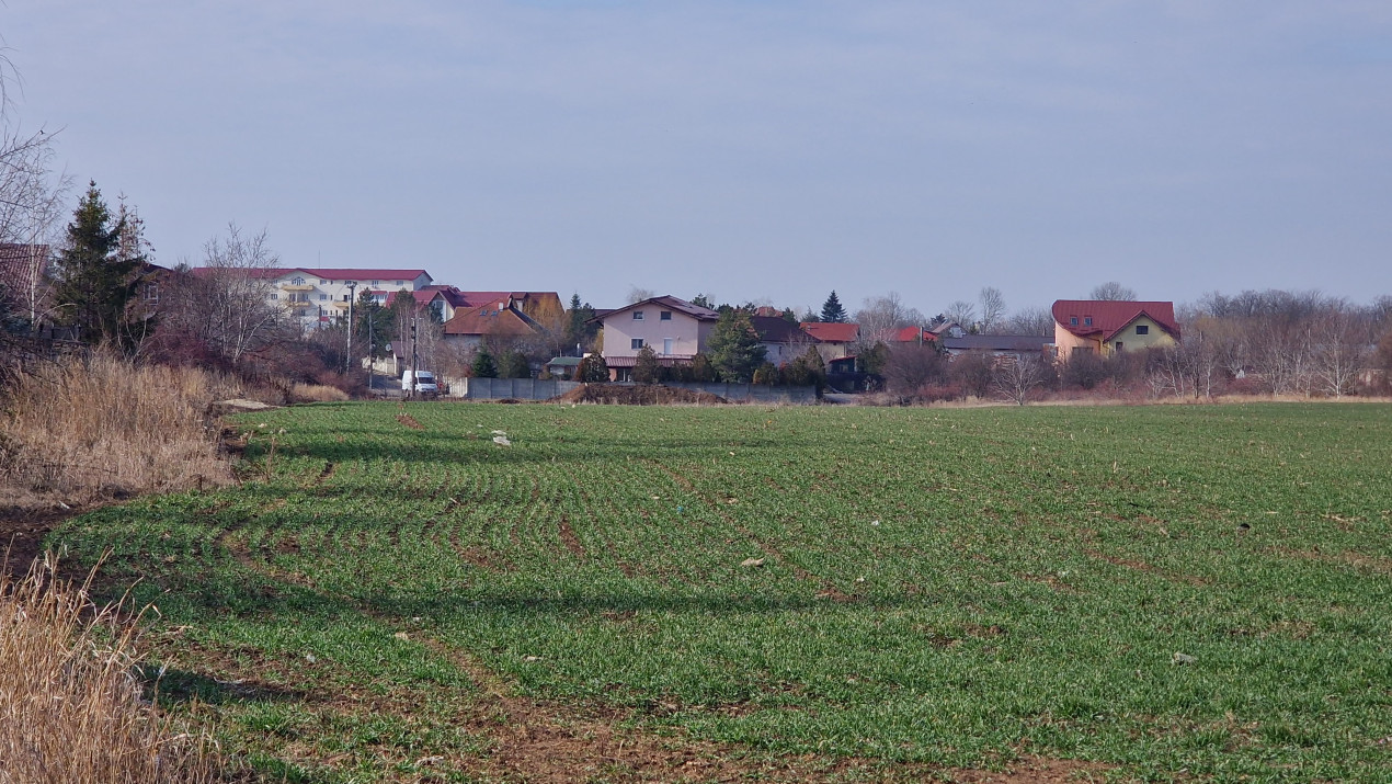 TEREN– 3778 mp - Balotesti - Morarilor- Langa case si utilitati