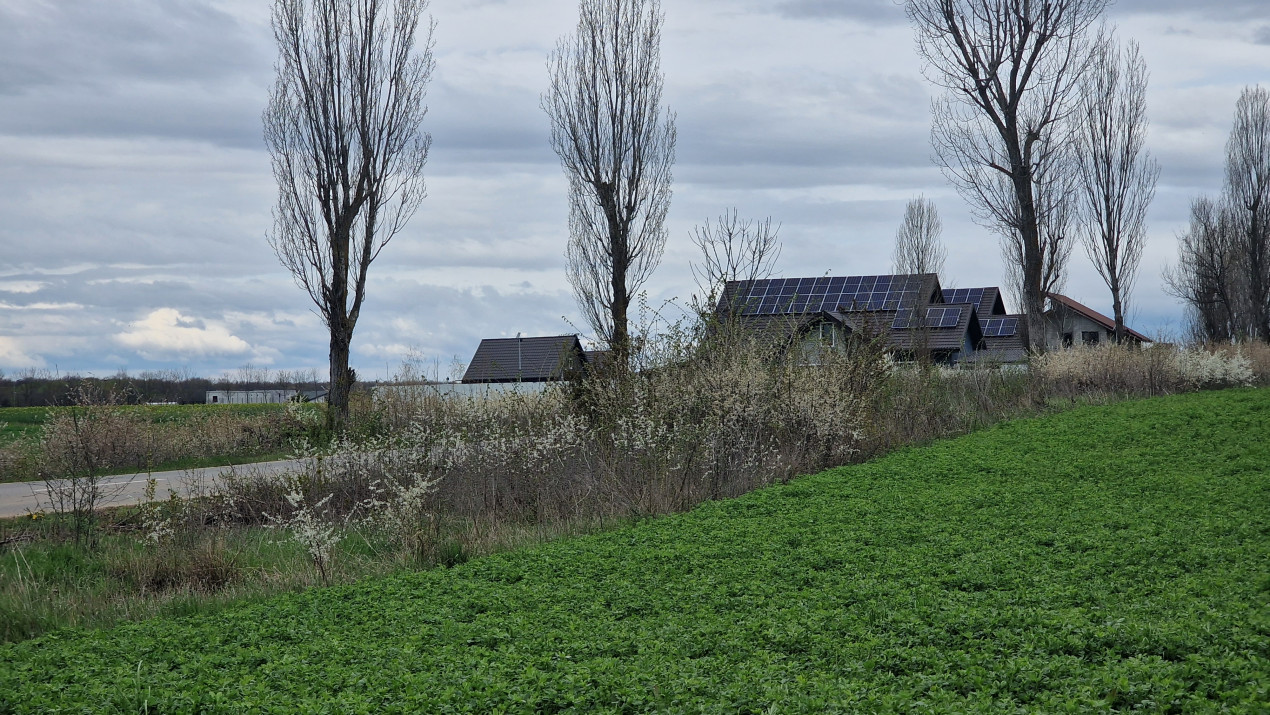 Teren intravilan 2262mp | langa Padurea Snagov | IZVORANI