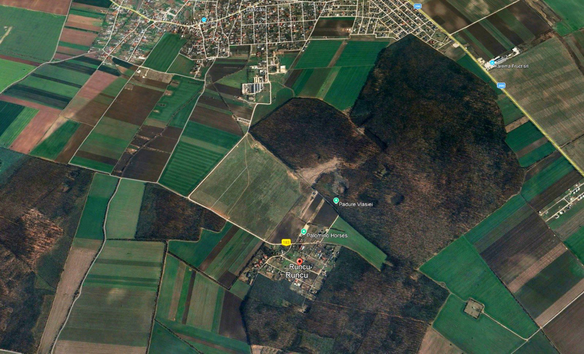 Teren 1200 mp  | Runcu - comuna Dascalu | Aproape de padure Runcu