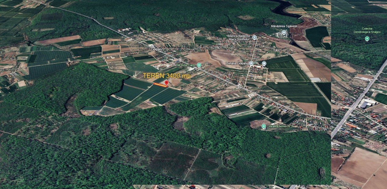 Teren intravilan | 500 mp | Izvorani - Padurea Snagov