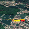 Teren intravilan | 500 mp | Izvorani - Padurea Snagov