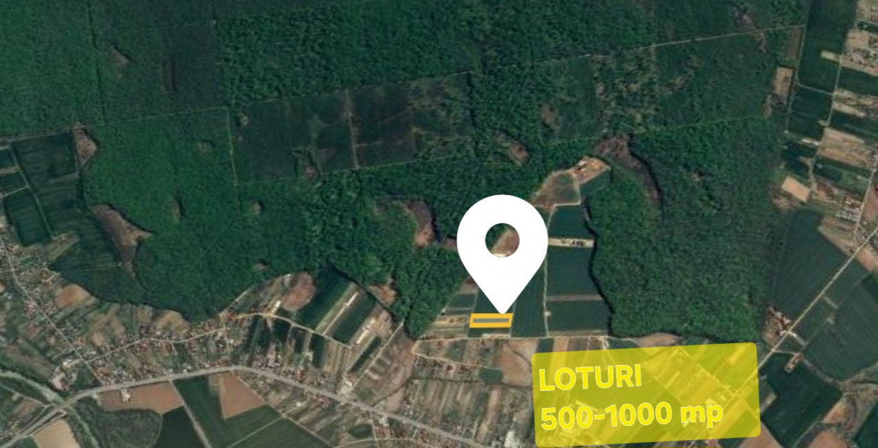 Loturi de teren la padure | 500-1000mp | Izvorani- Snagov