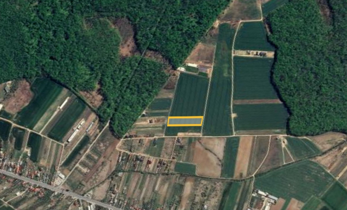 Loturi de teren la padure | 500-1000mp | Izvorani- Snagov