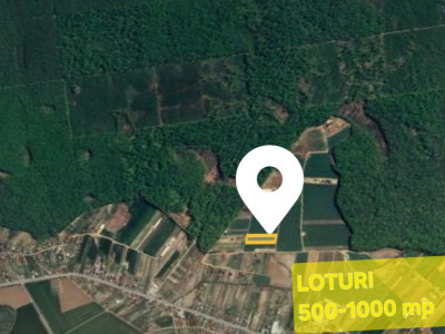 Loturi de teren la padure | 500-1000mp | Izvorani- Snagov