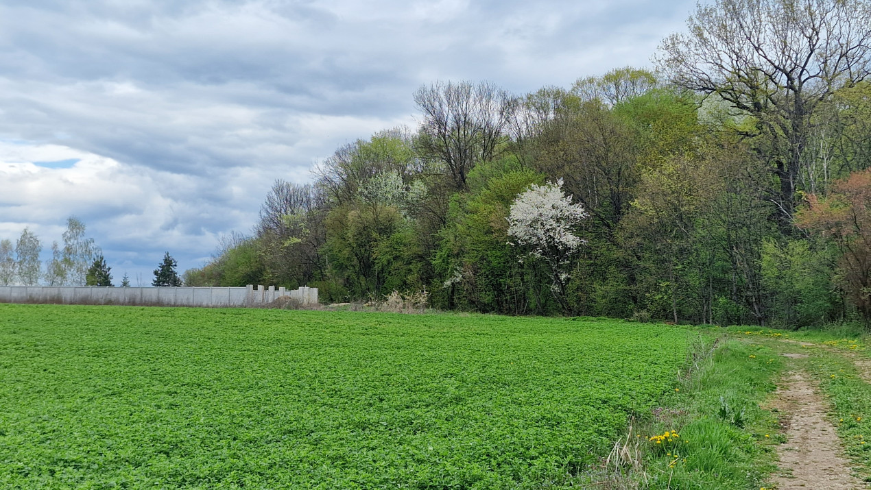 Loturi de 500mp | langa Padurea Snagov | IZVORANI | LOCATIE DE VIS