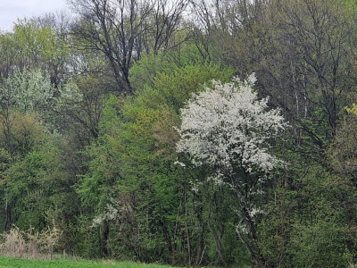 Loturi de 500mp | langa Padurea Snagov | IZVORANI | LOCATIE DE VIS