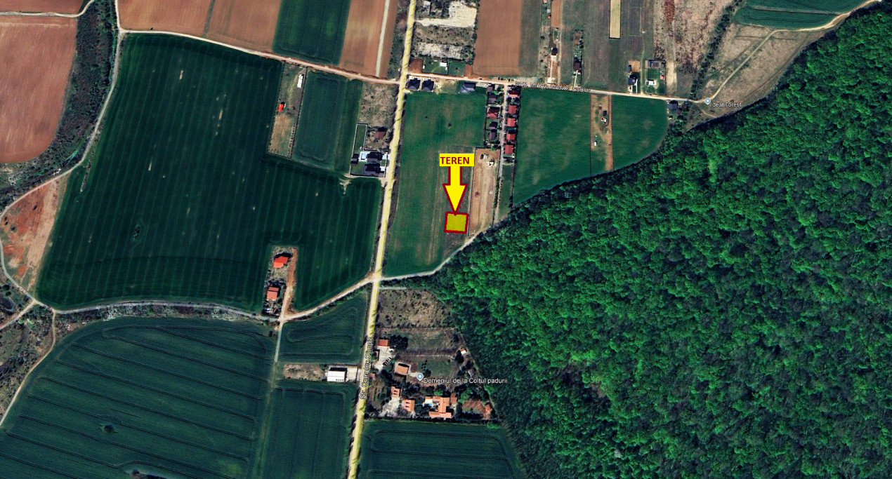 TEREN 500mp | langa Padurea Snagov | IZVORANI | LOCATIE DE VIS