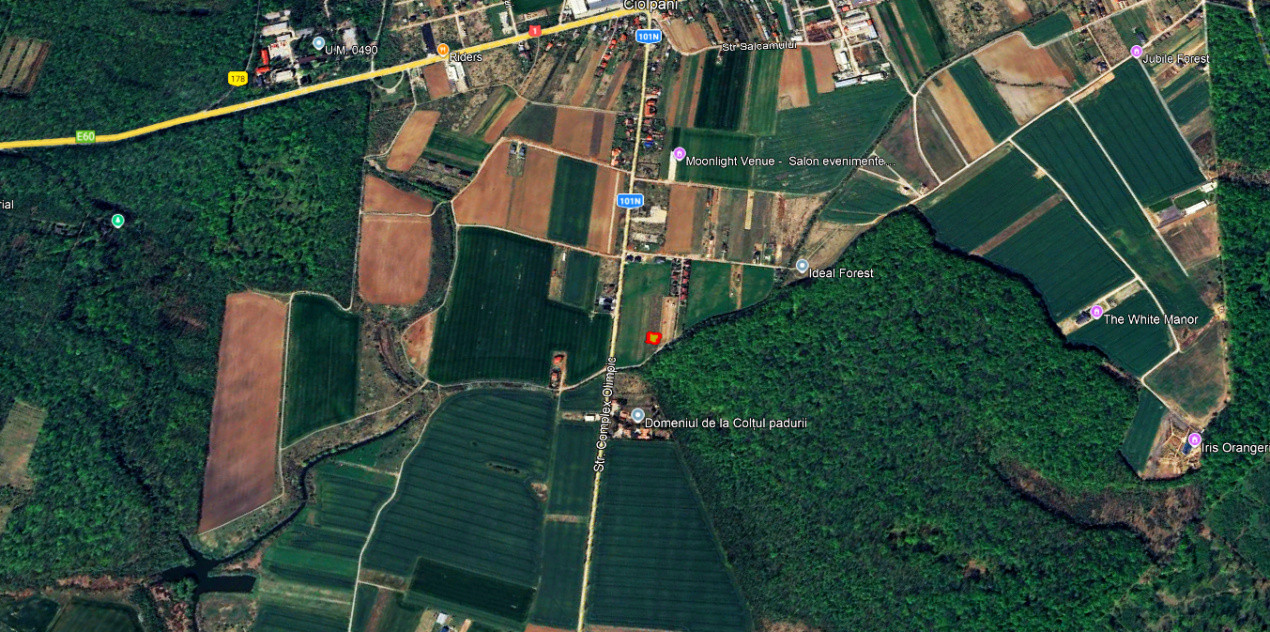 TEREN 500mp | langa Padurea Snagov | IZVORANI | LOCATIE DE VIS