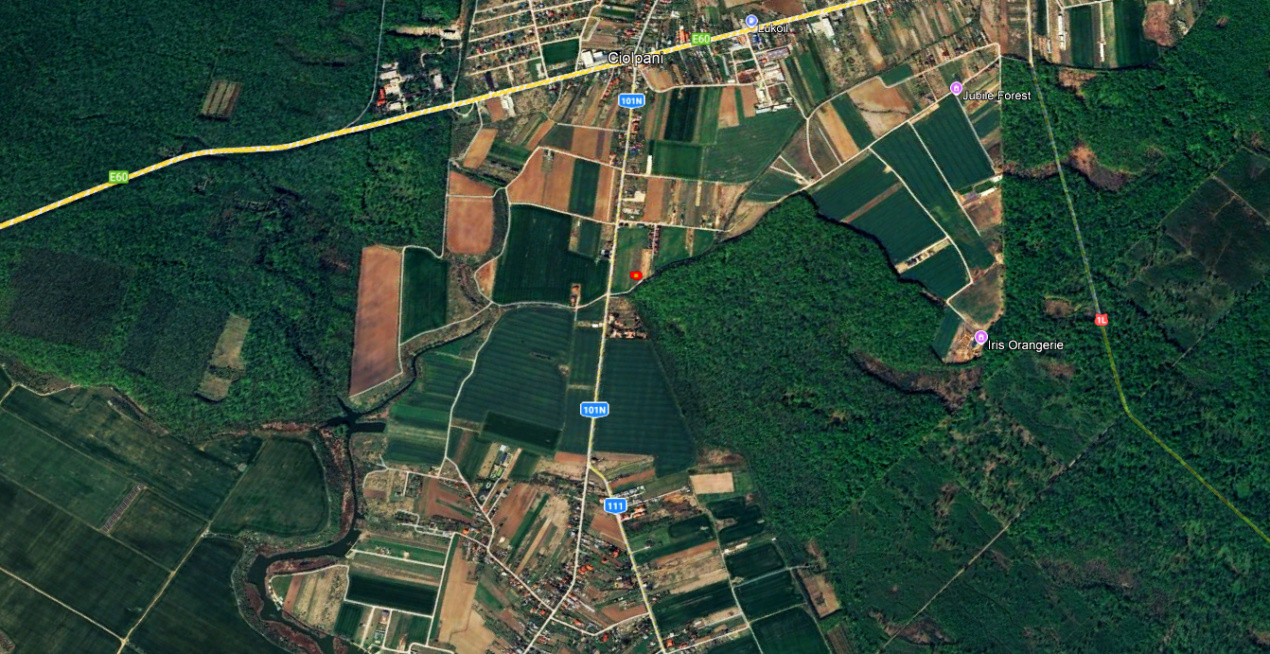 TEREN 500mp | langa Padurea Snagov | IZVORANI | LOCATIE DE VIS