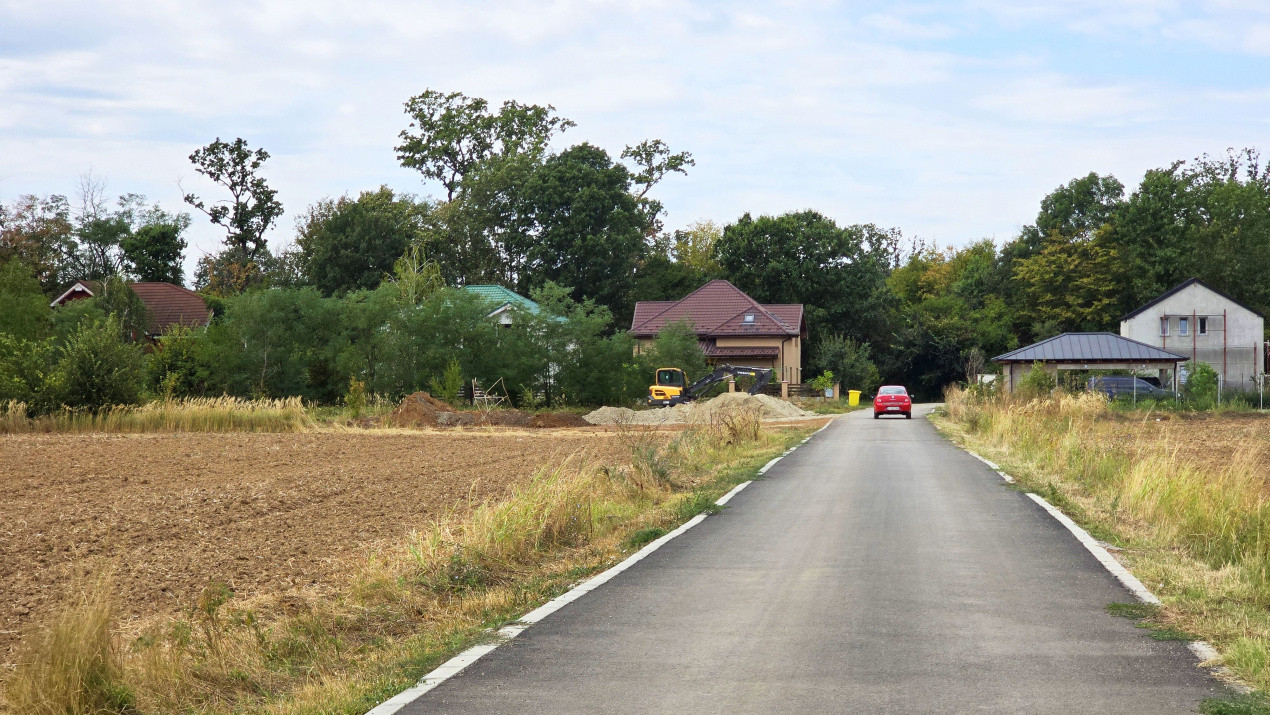 The Forest Collection -LOT 970mp- Strada asfaltata | Padurea Snagov -Ciofliceni 