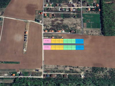 The Forest Collection -LOT 970mp- Strada asfaltata | Padurea Snagov -Ciofliceni 