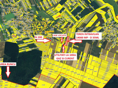 TEREN 14000 MP | IN DASCALU - LANGA BUCURESTI | IDEAL INVESTITIE | COMISION 0%